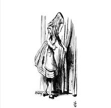 Load image into Gallery viewer, CLASSIC EDITIONS:ALICE IN WONDERLAND BY LEWIS CARROLL EBOOK