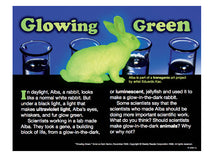 Load image into Gallery viewer, CSI Literacy Kit: Chapters Yellow (Year 4)