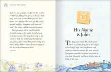 Load image into Gallery viewer, Five Minute Bible Stories