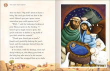 Load image into Gallery viewer, Five Minute Bible Stories