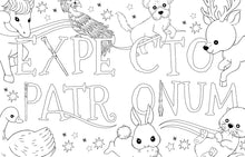 Load image into Gallery viewer, Harry Potter: Magical Art Colouring Book