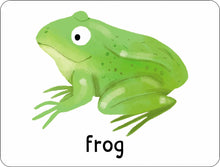 Load image into Gallery viewer, Lots to Spot Flashcards: Nature!
