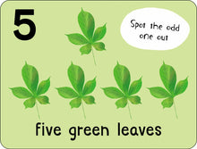 Load image into Gallery viewer, Lots to Spot Flashcards: Nature!