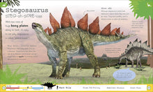 Load image into Gallery viewer, My Encyclopedia of Very Important Dinosaurs: Discover more than 80 Prehistoric Creatures