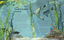 Load image into Gallery viewer, The Deep Blue: Oceans