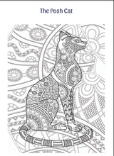 Load image into Gallery viewer, AMAZING CATS ART COLOURING BOOK  EBOOK DOWNLOAD