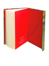 Load image into Gallery viewer, JOURNAL:Degas: The Star (Foiled Journal)