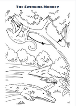 Load image into Gallery viewer, WILD ANIMAL COLOURING E BOOK