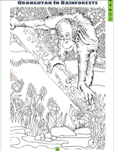 Load image into Gallery viewer, WILD ANIMAL COLOURING E BOOK