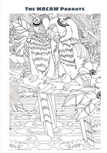 Load image into Gallery viewer, WILD ANIMAL COLOURING E BOOK