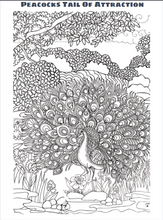 Load image into Gallery viewer, WILD ANIMAL COLOURING E BOOK