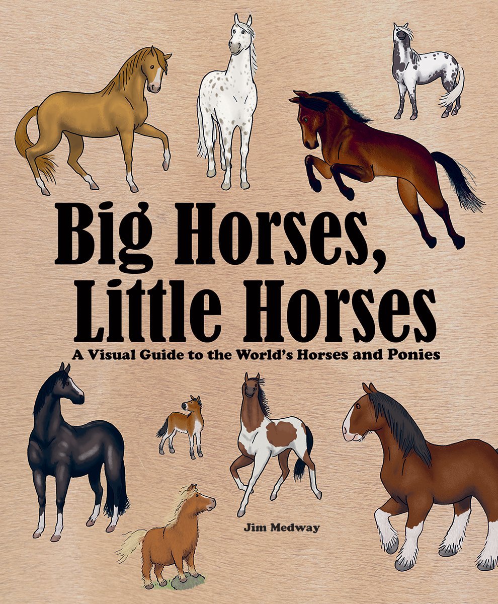 Big Horses, Little Horses