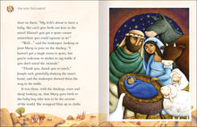 Load image into Gallery viewer, Five Minute Bible Stories
