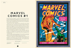 Marvel Museum The Story of the Comics