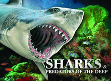 Load image into Gallery viewer, Sharks &amp; Predators of the Deep
