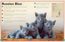 Load image into Gallery viewer, The Magnificent Book of Cats
