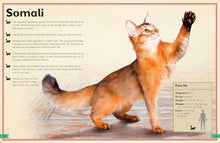 Load image into Gallery viewer, The Magnificent Book of Cats
