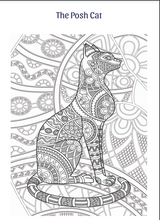 Load image into Gallery viewer, AMAZING CATS ART COLOURING BOOK  EBOOK DOWNLOAD
