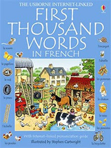 USBORNE  FIRST 1000 WORDS IN FRENCH