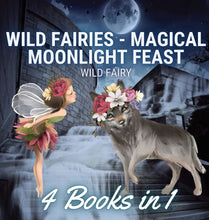 Load image into Gallery viewer, Wild Fairies - Magical Moonlight Feast: 4 Books in 1
